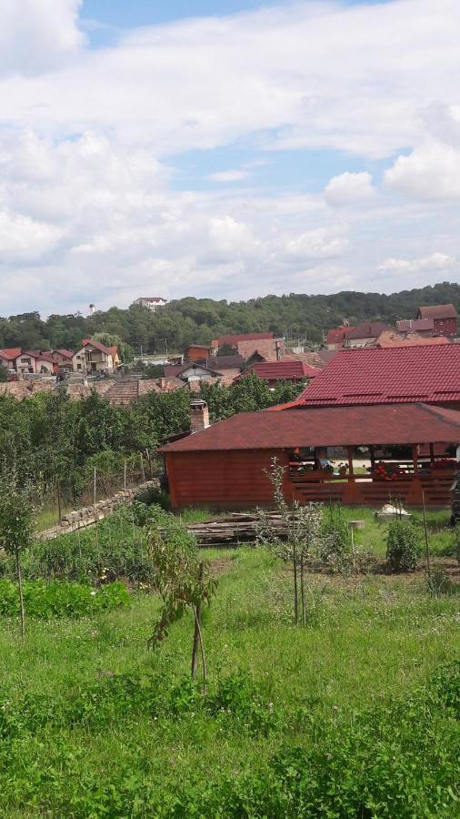 Casa Anamaria Villa Turda Exterior photo